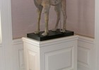 Decorator pedestal 